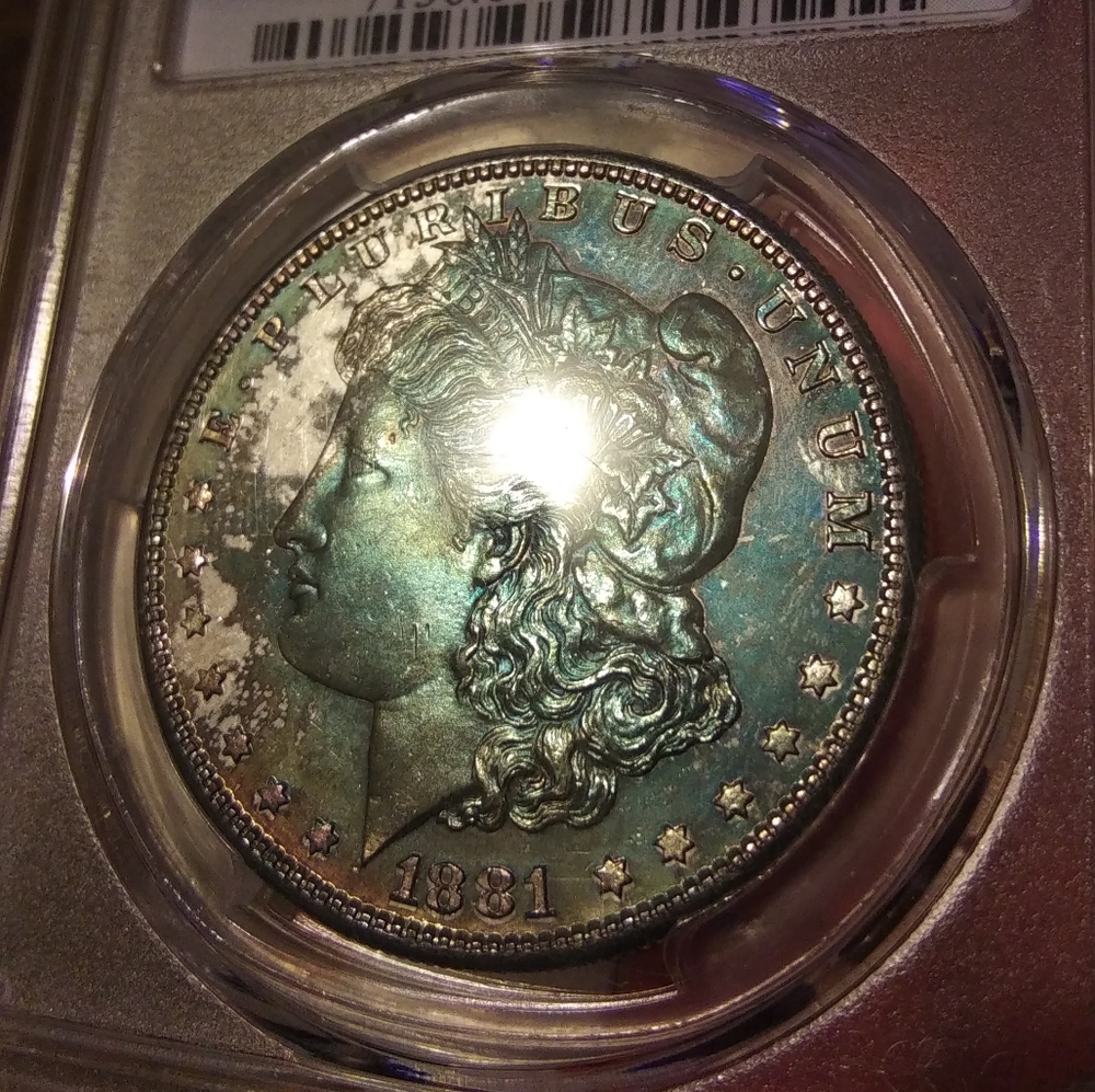 1881 S MS64 Toned Morgan Silver Dollar
